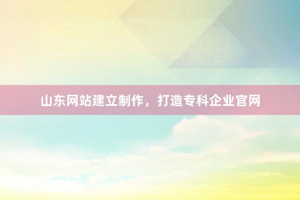 山东网站建立制作，打造专科企业官网