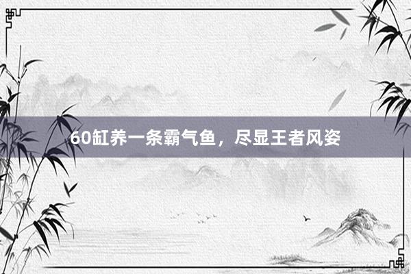 60缸养一条霸气鱼，尽显王者风姿